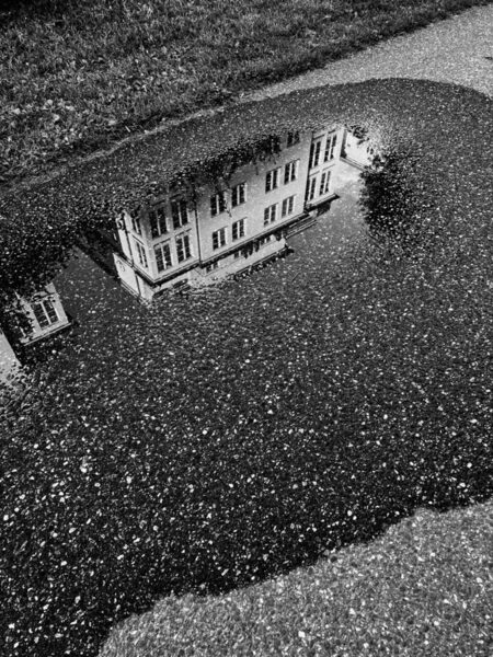 Photograph Milena Pettersson The Reflection on One Eyeland